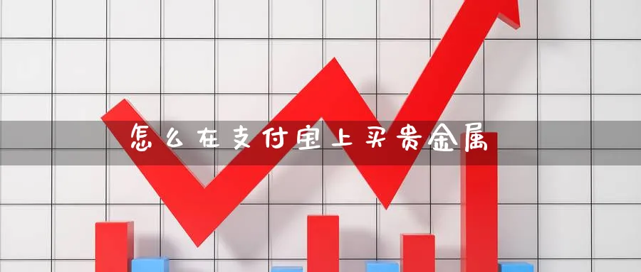 怎么在支付宝上买贵金属_纳指直播室_第1张_51期货直播网 怎么在支付宝上买贵金属_https://www.51pinbao.com_纳指直播室_第1张