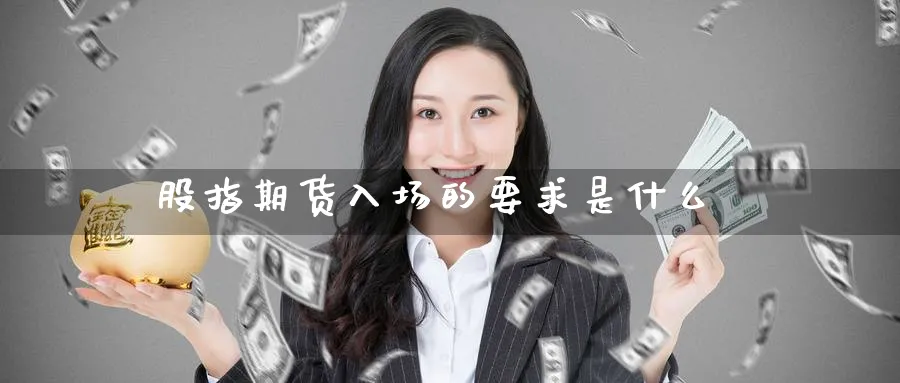 股指期货入场的要求是什么_https://www.51pinbao.com_纳指直播室_第1张