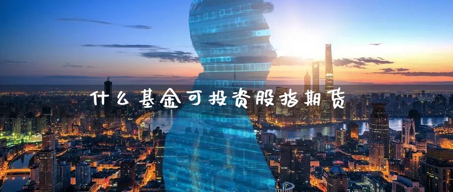 什么基金可投资股指期货_https://www.51pinbao.com_恒指直播室_第1张