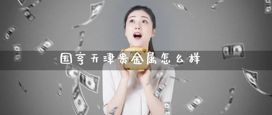 国亨天津贵金属怎么样_https://www.51pinbao.com_纳指直播室_第1张