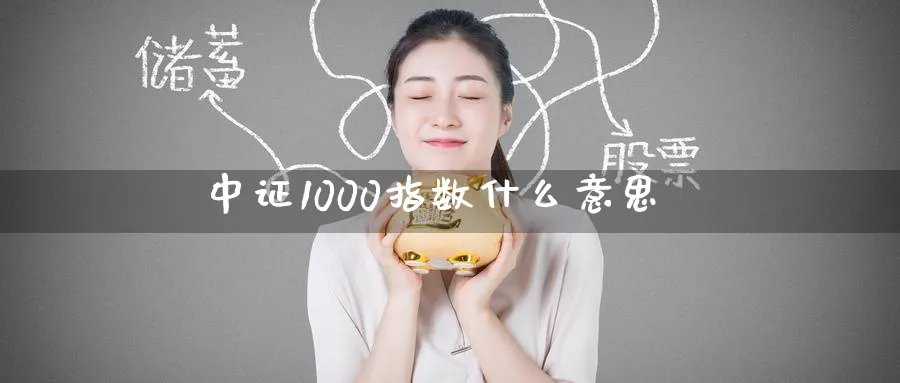 中证1000指数什么意思_https://www.51pinbao.com_纳指直播室_第1张