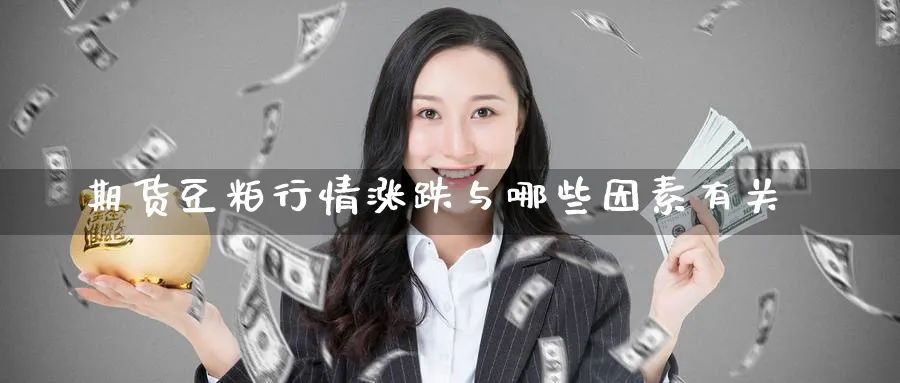 期货豆粕行情涨跌与哪些因素有关_原油直播室_第1张_51期货直播网 期货豆粕行情涨跌与哪些因素有关_https://www.51pinbao.com_原油直播室_第1张
