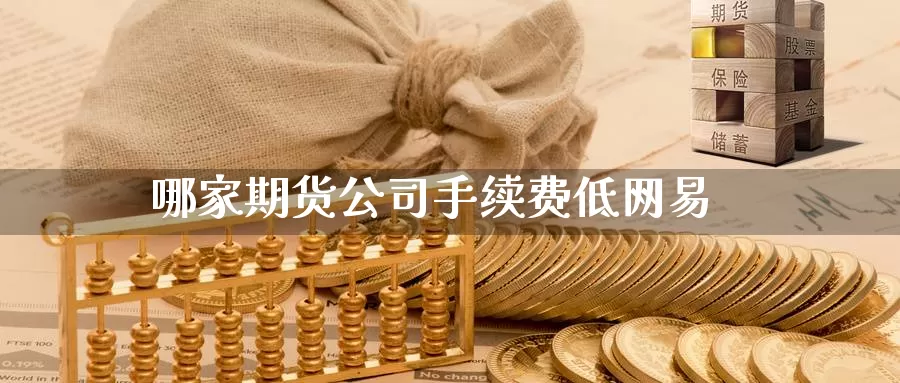哪家期货公司手续费低网易_https://www.51pinbao.com_期货直播室_第1张