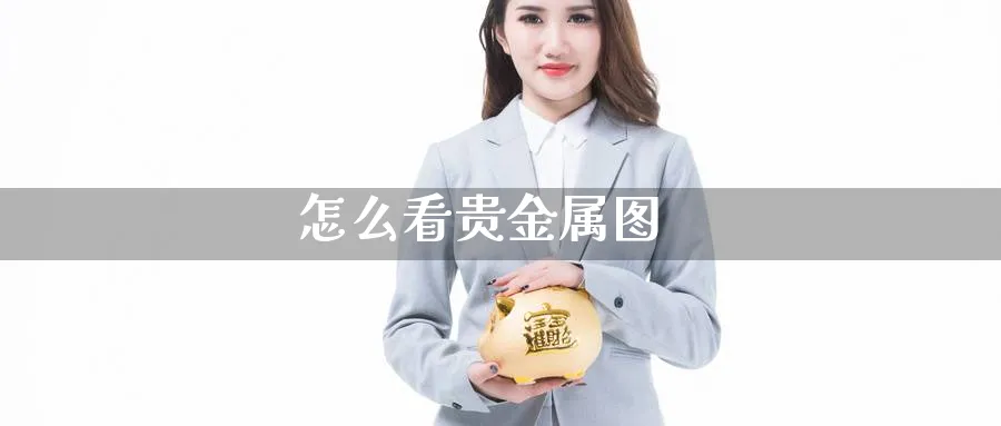 怎么看贵金属图_https://www.51pinbao.com_恒指直播室_第1张