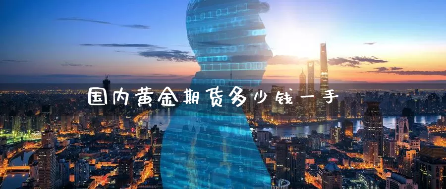 国内黄金期货多少钱一手_德指直播室_第1张_51期货直播网 国内黄金期货多少钱一手_https://www.51pinbao.com_德指直播室_第1张