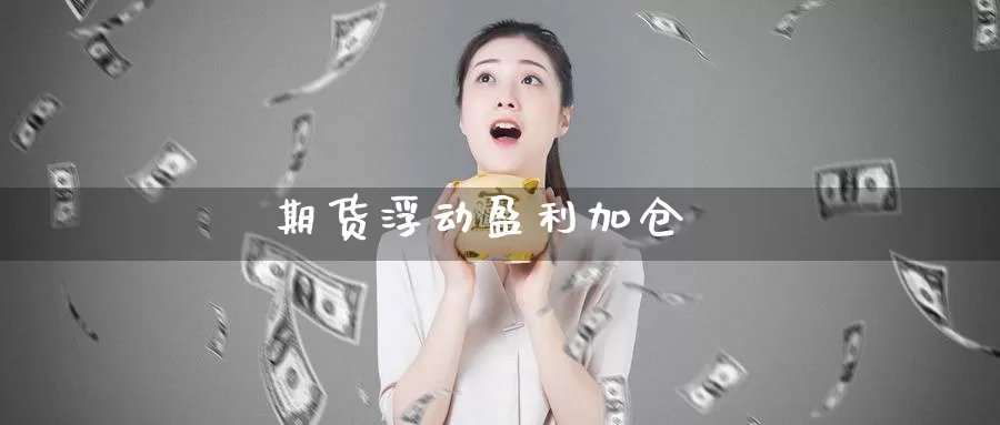 期货浮动盈利加仓_https://www.51pinbao.com_德指直播室_第1张