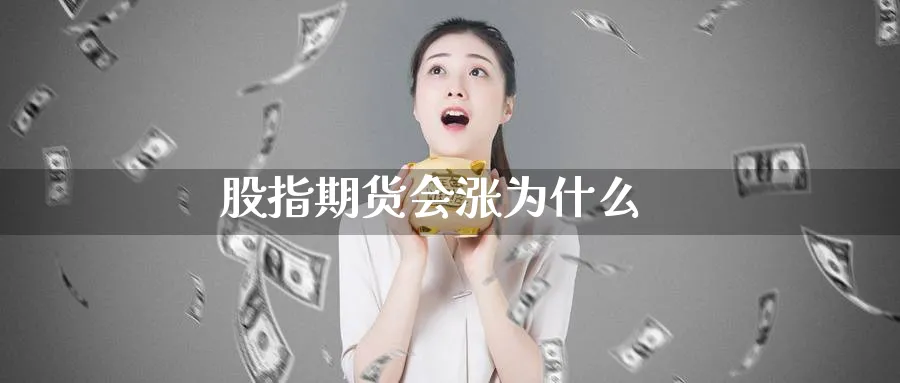 股指期货会涨为什么_原油直播室_第1张_51期货直播网 股指期货会涨为什么_https://www.51pinbao.com_原油直播室_第1张