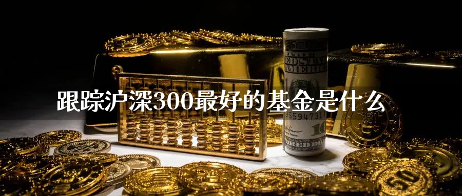 跟踪沪深300最好的基金是什么_https://www.51pinbao.com_纳指直播室_第1张