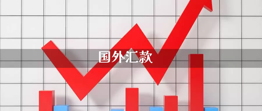 国外汇款_https://www.51pinbao.com_纳指直播室_第1张