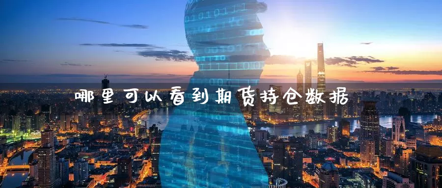 哪里可以看到期货持仓数据_https://www.51pinbao.com_纳指直播室_第1张