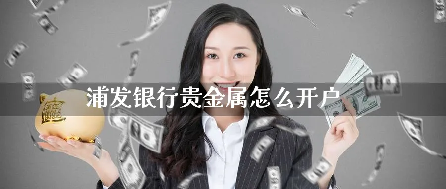 浦发银行贵金属怎么开户_期货直播室_第1张_51期货直播网 浦发银行贵金属怎么开户_https://www.51pinbao.com_期货直播室_第1张